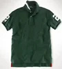verde13