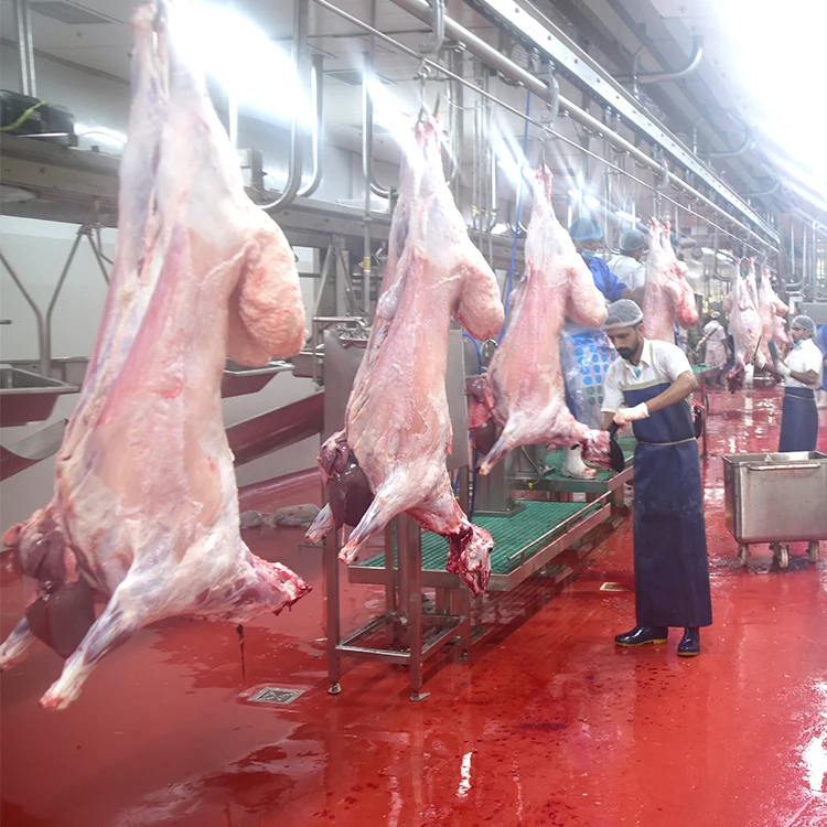 Sheep Goat Slaughterhouse Slaughtering Machinery Sheep Slaughterhouse