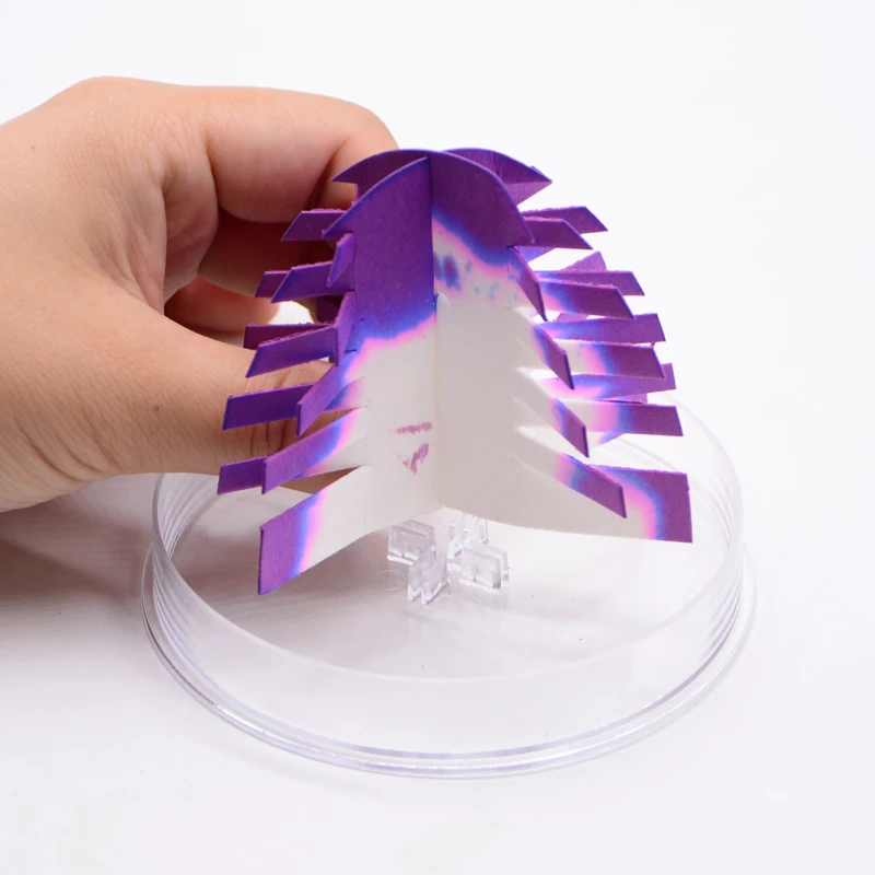 DIY Handmade Princess Purple Science Educational Toys Paper Growing Set Best Christmas Gift for Girls