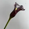 Morado oscuro