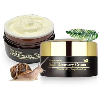 Private Label Deep Moisturizing Anti Wrinkle Snail Mucin Recovery Face Cream