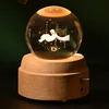 The little prince of the starry sky