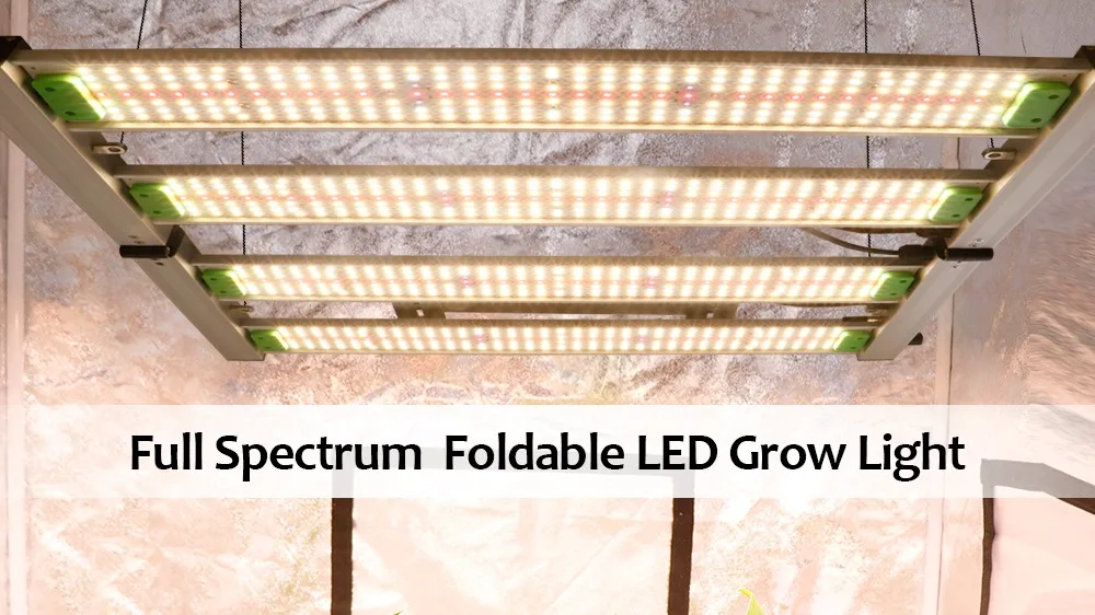 Wholesale Plant Lamp Full Spectrum Led Grow Light Indoor Vegetable