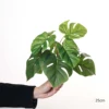 25cm Large 9-Leaf Split-Leaf Monstera