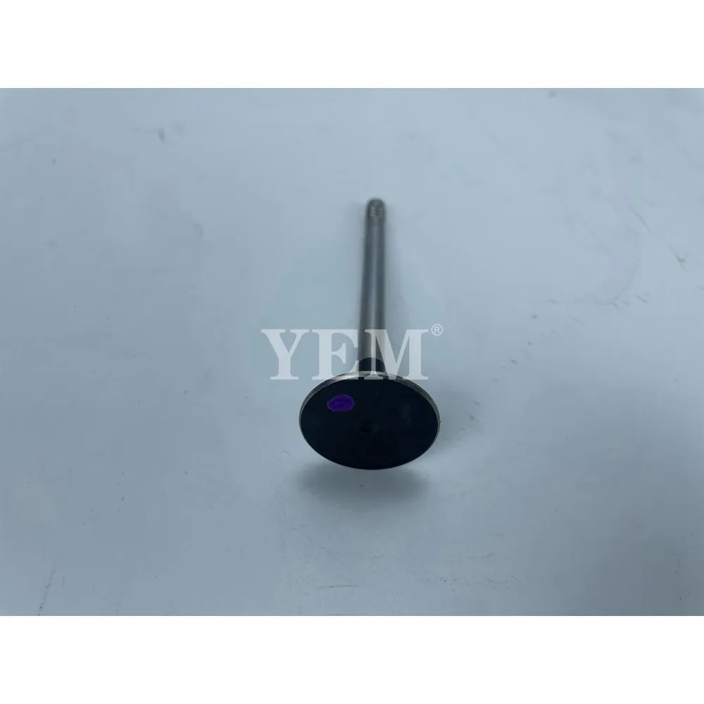 Engine Intake Valve 410112-00089 Fit for Doosan D24 Diesel Machinery Engine Parts 3