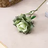 una rama verde