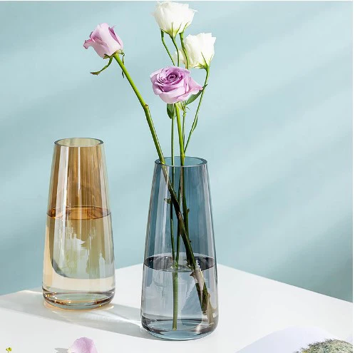 Günstige Home Decorative Farbige Klarglas Blumenvase Wasser Pflanzen Transparente Vasen
