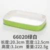 66020 สีเขียวและสีขาว