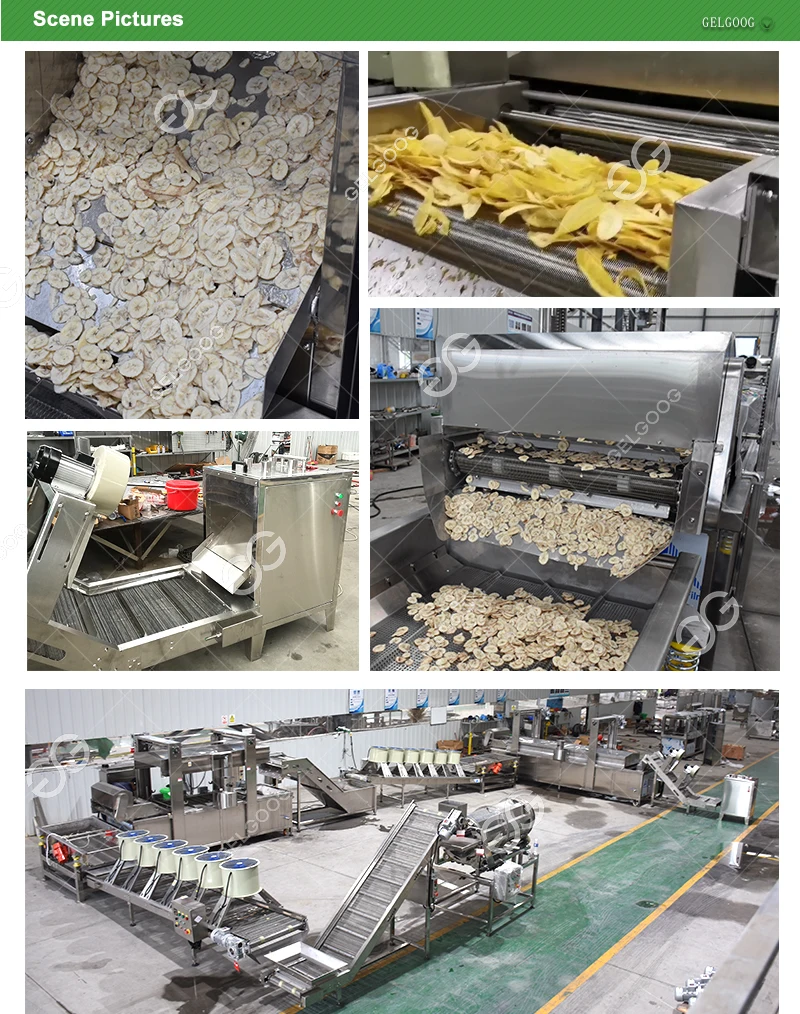 Gelgoog Apple Plantains Chips Making Machinery Production Line Semi Automatic Banana Chips Processing Line
