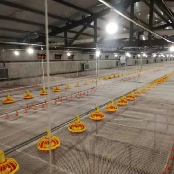 Automatic Poultry Equipment Broiler Feeding System for Chicken Farm