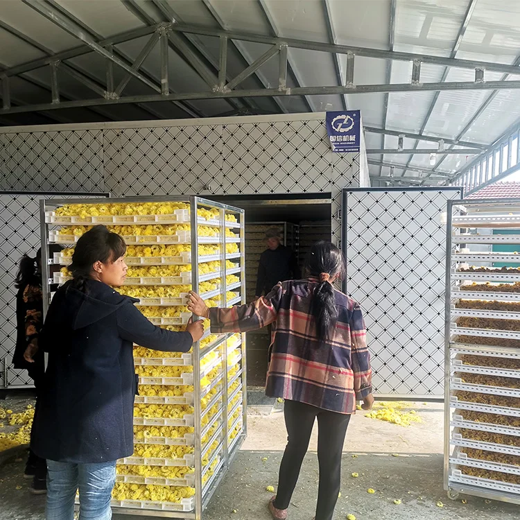 Guoxin mango Dried/coconut Coir/grape Heat Pump Dryer Food Fruit Drying Machine Fruits Drying Machine
