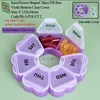 P18:Violet Bottom Clear Cover