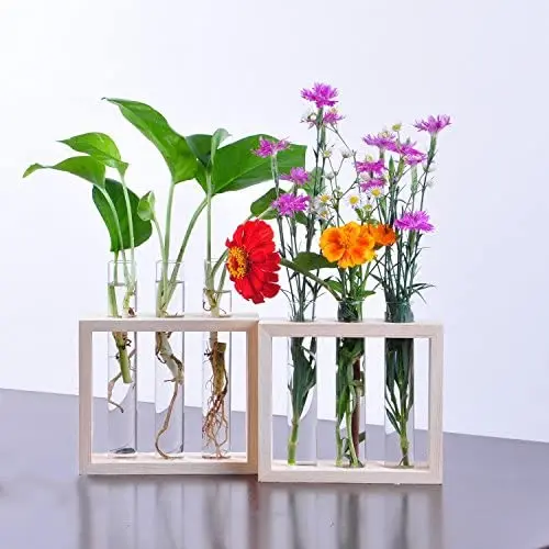 Flower Bud Vase Modern Test Terrarium Tube Flower for Entryway