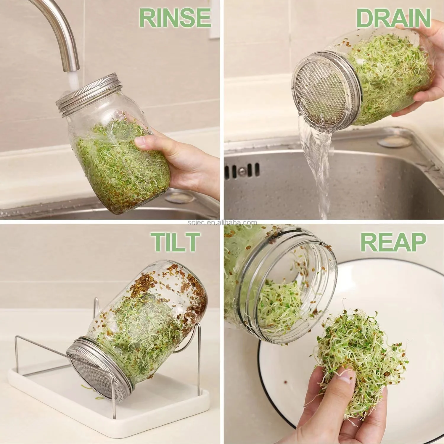 Complete Mason Jar Sprouting Kit 2 Wide Mouth Quart Sprouting Jars