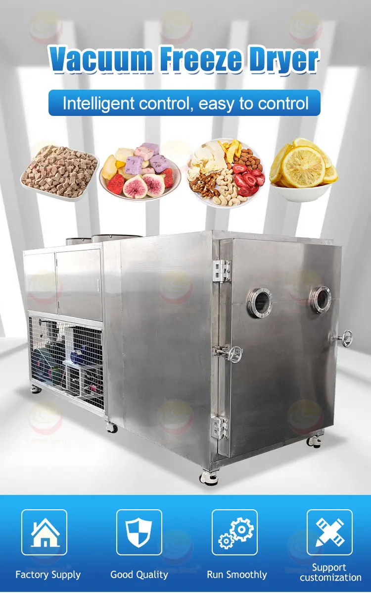 Industrial Fruit Freeze Dryer Affordable Big Capacity 30kg 100kg Per