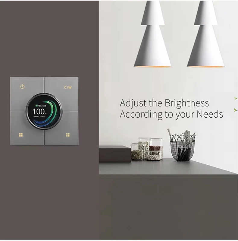 Tuya Smart Home CW Dimming Switch ZigBee Wireless Knob Display Screen Light Control Switch 2 Gang Centralized Control Panel