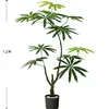 Peacock Wood 1.2m [Luxury Edition] Black Original Pot