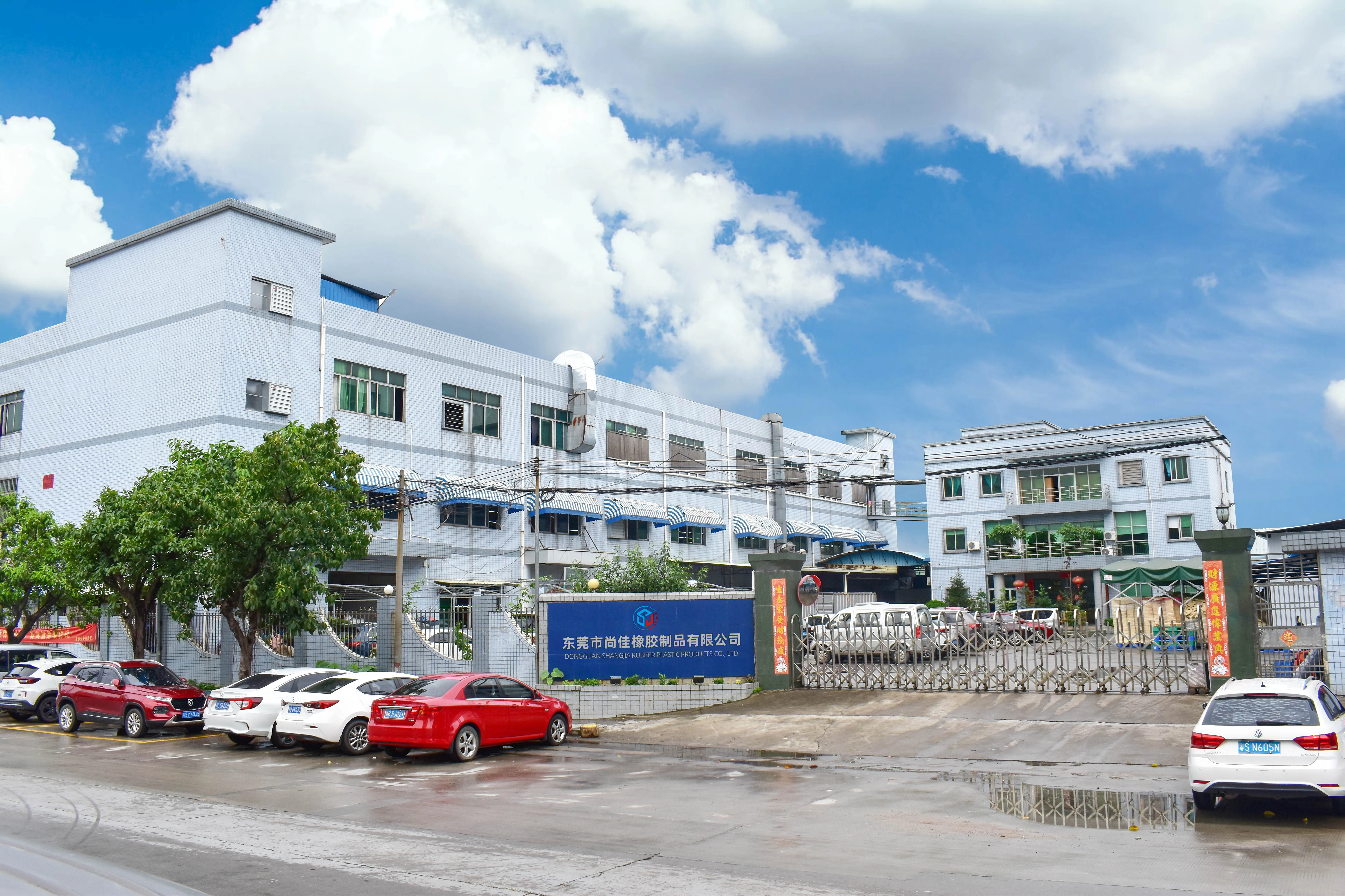 Company overview