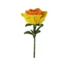 jaune