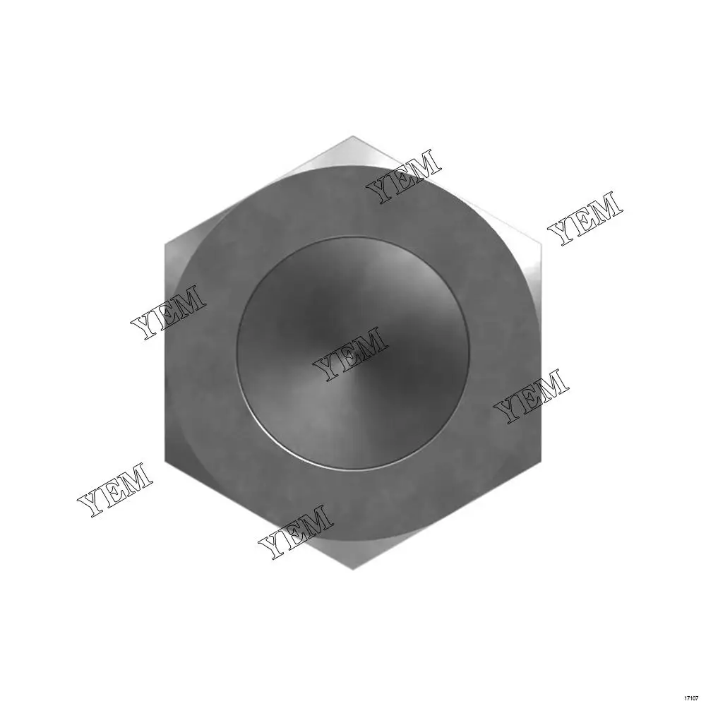 High Quality Manufactory Diesel Engine Valve-Check Fit for 221-9496 Wholesale Engine Parts 5