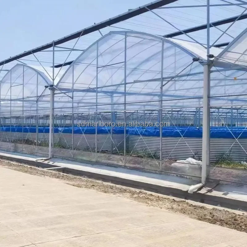 Большой пластиковый резервуар для выращивания креветок из ПВХ