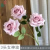 3-headed Goddess Rose WY Bean Paste Color