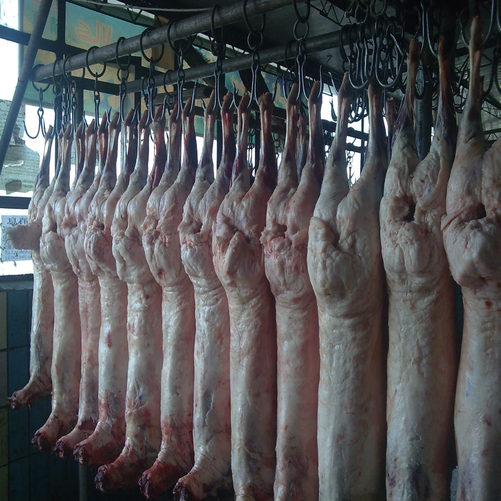 New lamb slaughtering equipment sheep slaughterhouse line sheep slaughtering machine