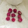 Rose red-side studs