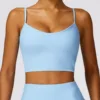 vest blue