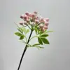 Blanc rose clair à une tête