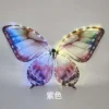 Ensemble de versions à éclairage violet émis en usine