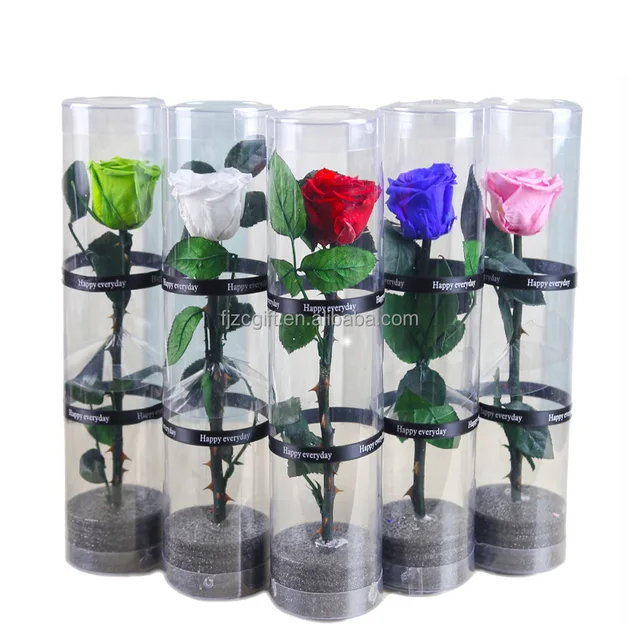 New Arrival Pvc Box Preserved Roses With Long StemSingle Rose Flowers For Valentine's Mothers Day Gift