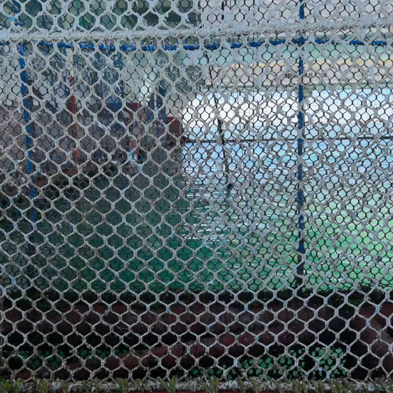 buy fish netting COLIBROX Fishing Net 5'x10' ~ Commercial ~ Old Vintage Decor : Sports & Outdoors DEBRIS The dense mesh will keep your pond New Releases: The best-selling new