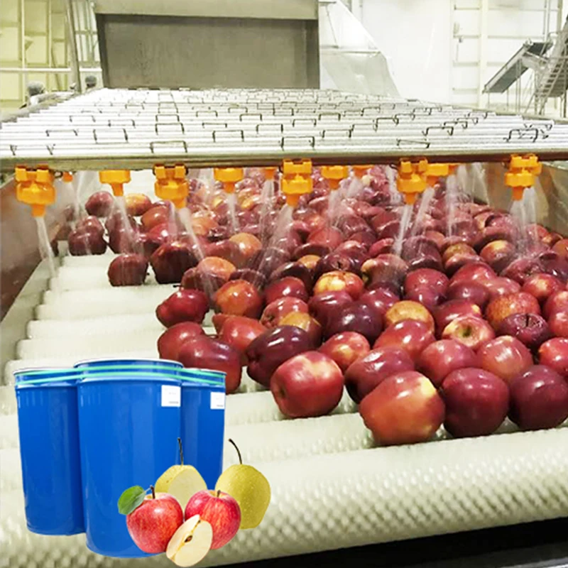 Apple Fruit Juice Juicer Efficient Processing Solutions