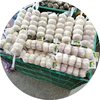Fresh Chinese 4P Pure White Garlic Cheap Price Fresh Vegetables For Wholesale