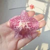 1 pcs color 25