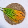 Espigas de trigo de 7 ramificaciones