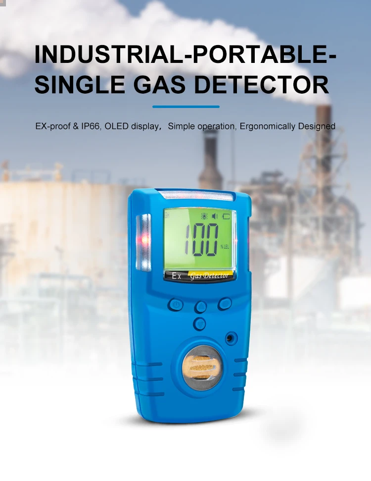 Portable Selfinspection Single Gas Detector Rapid And Effective