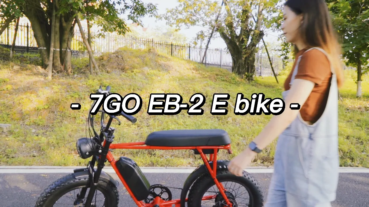 30 mph electric bike for sale