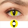 Oeil de chat jaune RY139