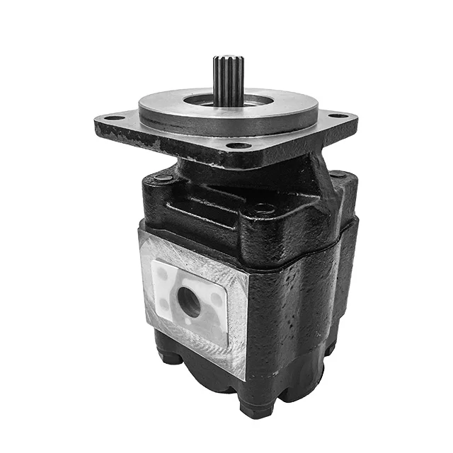 Replace parker Pgp Pump Pgp030 Pgp031 P31 P30