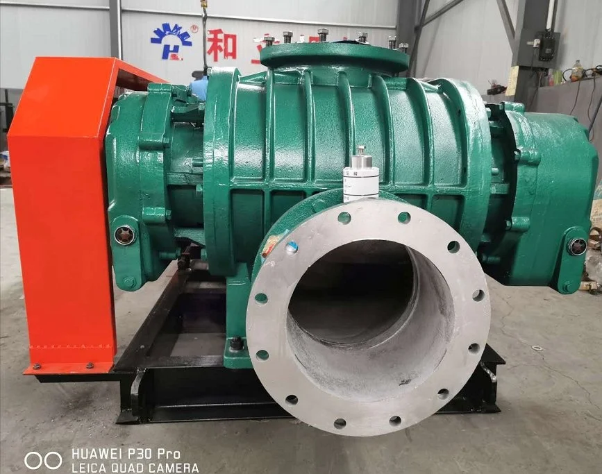 Roots Blower, Explosion-Proof, 220V - detail 10
