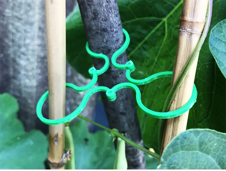 Gardening 8-figure buckle climbing vine tomato cucumber bundle 8-figure buckle plant fixed buckle gourd ring garden tools details