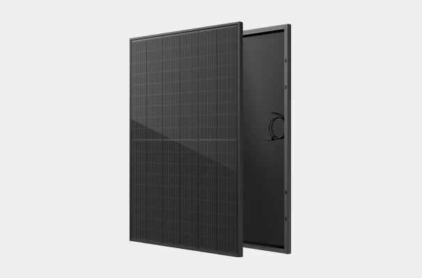 Sunpal N Type TOPCON Bifacial Solar Panel 415W 420W 445W 450W Mono ...