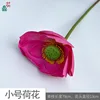 Petit Lotus HH Rose