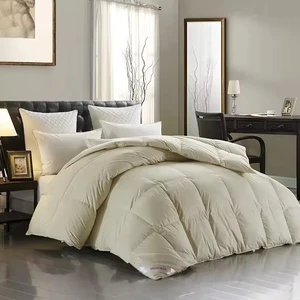 Hotel Luxury Quality Yellow Bamboo Fabric Feather Feather Customized Hotel Duvet Insert Duvet Inner Comforter for Hotel