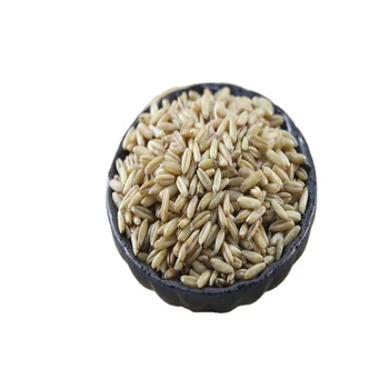 Pure Natural Green Additive-free Oat Kernels,reasonable Prices,sold 