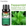 SY5522-05Peppermint