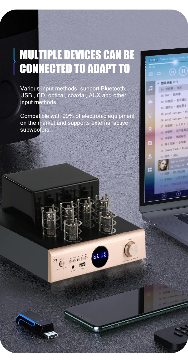 Hyper Sound 2023 Aluminum Hifi Audio System - 100W Tube Amplifier AV-2080
