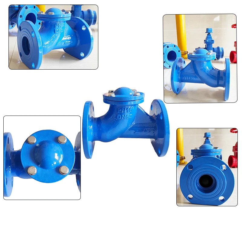 High Quality Ball Check Valves Standard Ductile Iron Blue Flangeless